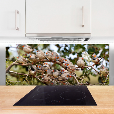 Painel vidro cozinha Pássaros Animais