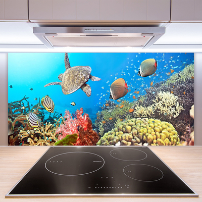 Painel cozinha Paisagem de recifes de coral