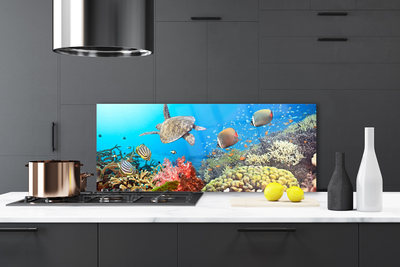 Painel cozinha Paisagem de recifes de coral