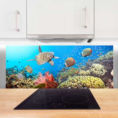 Painel cozinha Paisagem de recifes de coral