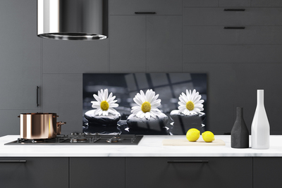 Painel vidro cozinha Planta Daisy Stones