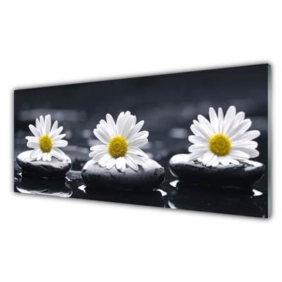 Painel vidro cozinha Planta Daisy Stones