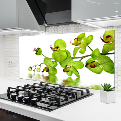 Painel vidro cozinha Flores Planta Natureza