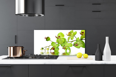 Painel vidro cozinha Flores Planta Natureza