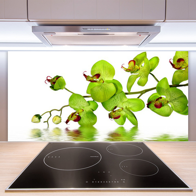 Painel vidro cozinha Flores Planta Natureza