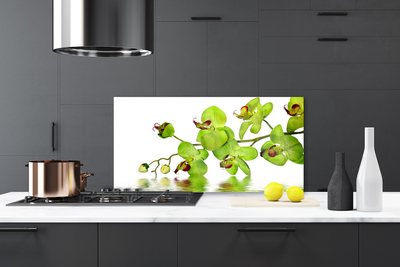 Painel vidro cozinha Flores Planta Natureza