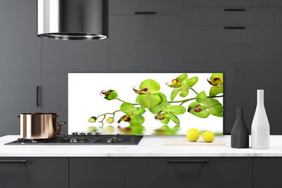 Painel vidro cozinha Flores Planta Natureza