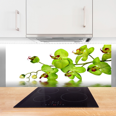 Painel vidro cozinha Flores Planta Natureza