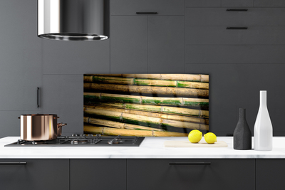 Painel vidro cozinha Natureza da planta de bambu
