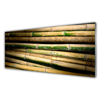 Painel vidro cozinha Natureza da planta de bambu