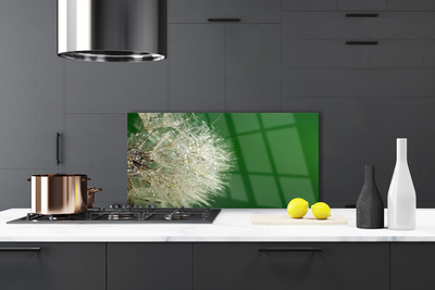 Painel cozinha Planta dente-de-leão