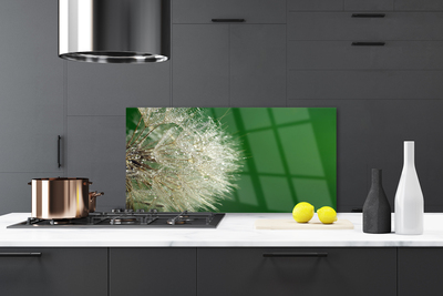 Painel cozinha Planta dente-de-leão