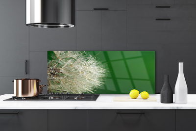 Painel cozinha Planta dente-de-leão