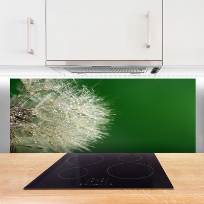 Painel cozinha Planta dente-de-leão