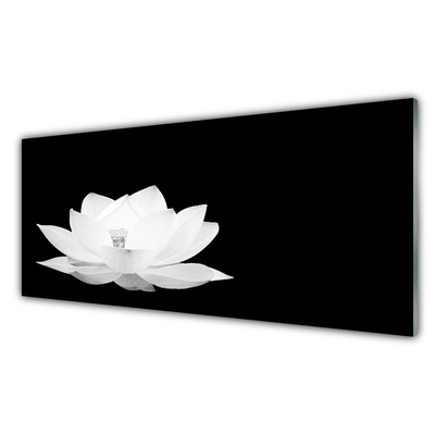 Painel vidro cozinha Flor Planta Natureza