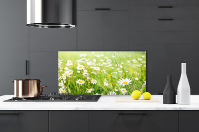Painel vidro cozinha Natureza do Prado Daisy