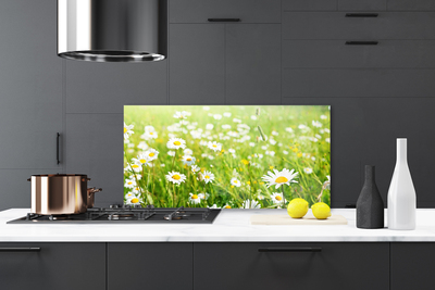 Painel vidro cozinha Natureza do Prado Daisy