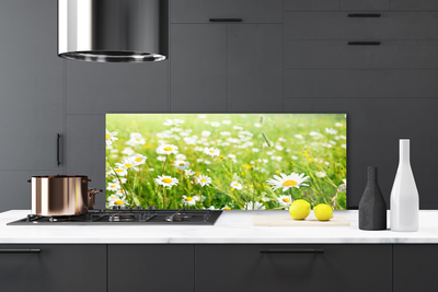 Painel vidro cozinha Natureza do Prado Daisy