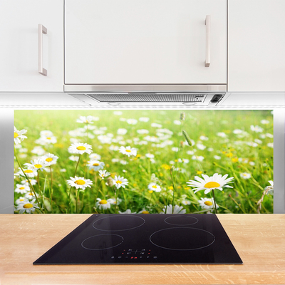 Painel vidro cozinha Natureza do Prado Daisy