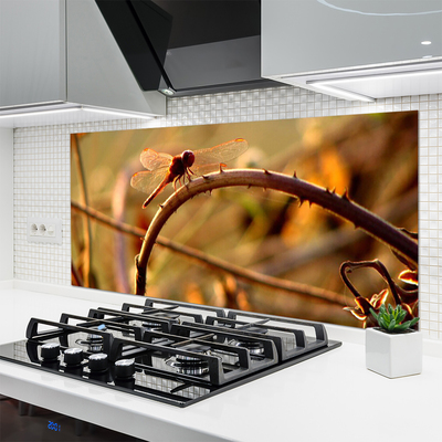 Painel vidro cozinha Planta da Natureza da Libélula