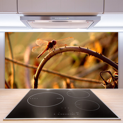 Painel vidro cozinha Planta da Natureza da Libélula