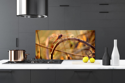 Painel vidro cozinha Planta da Natureza da Libélula