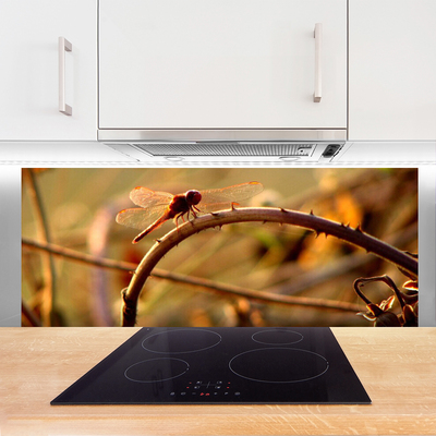 Painel vidro cozinha Planta da Natureza da Libélula