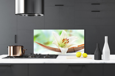 Painel vidro cozinha Flor Planta Natureza