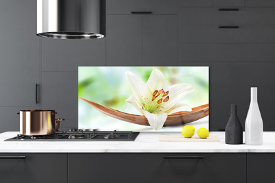 Painel vidro cozinha Flor Planta Natureza