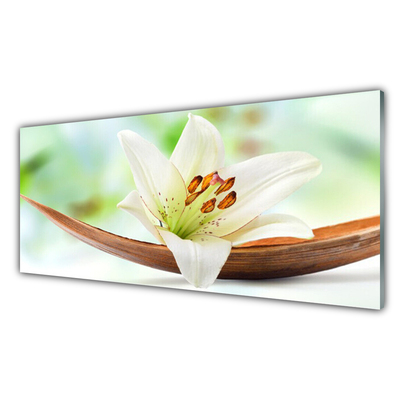 Painel vidro cozinha Flor Planta Natureza