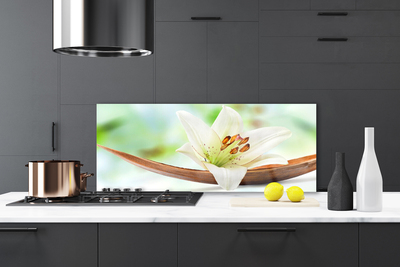 Painel vidro cozinha Flor Planta Natureza