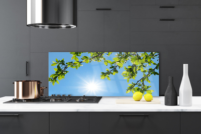 Painel cozinha Natureza do Sol