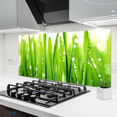 Painel cozinha Natureza da planta grama
