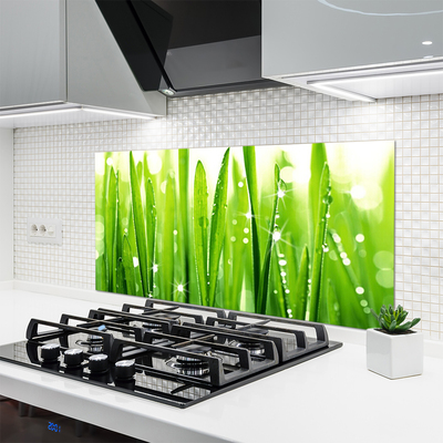 Painel cozinha Natureza da planta grama