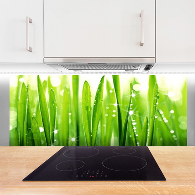 Painel cozinha Natureza da planta grama
