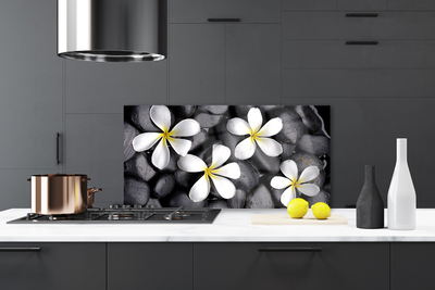 Painel cozinha Flores Planta Natureza