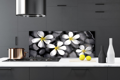 Painel cozinha Flores Planta Natureza