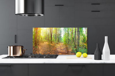 Painel vidro cozinha Floresta Natureza Árvores