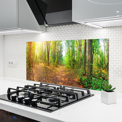 Painel vidro cozinha Floresta Natureza Árvores