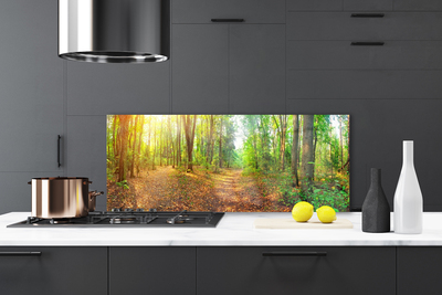 Painel vidro cozinha Floresta Natureza Árvores