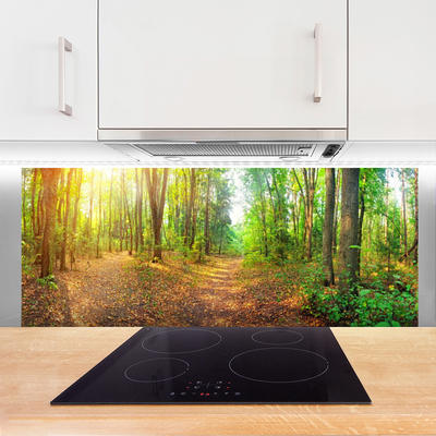 Painel vidro cozinha Floresta Natureza Árvores