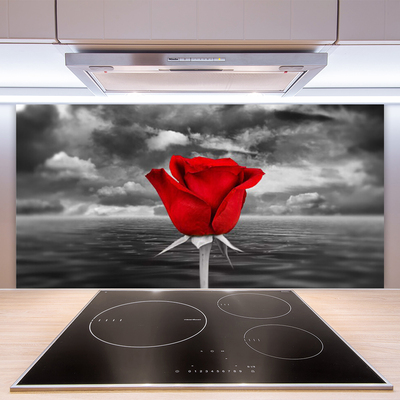 Painel vidro cozinha Planta Flor Rosa Mar