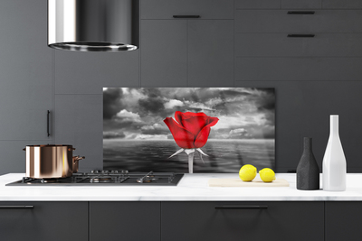 Painel vidro cozinha Planta Flor Rosa Mar