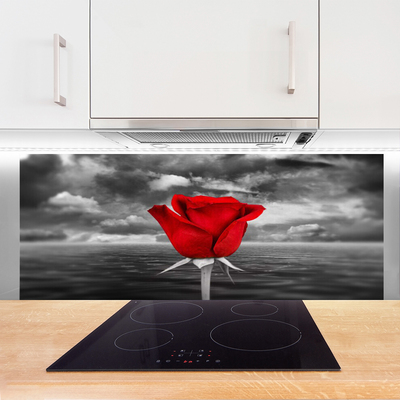 Painel vidro cozinha Planta Flor Rosa Mar