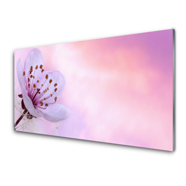 Painel cozinha Flor Planta Natureza