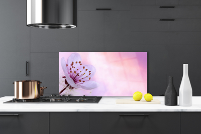 Painel cozinha Flor Planta Natureza