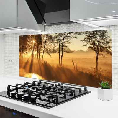 Painel vidro cozinha Árvores Natureza