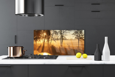 Painel vidro cozinha Árvores Natureza