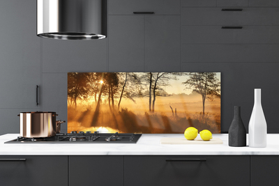 Painel vidro cozinha Árvores Natureza