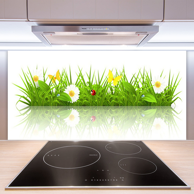Painel vidro cozinha Grama Natureza Planta